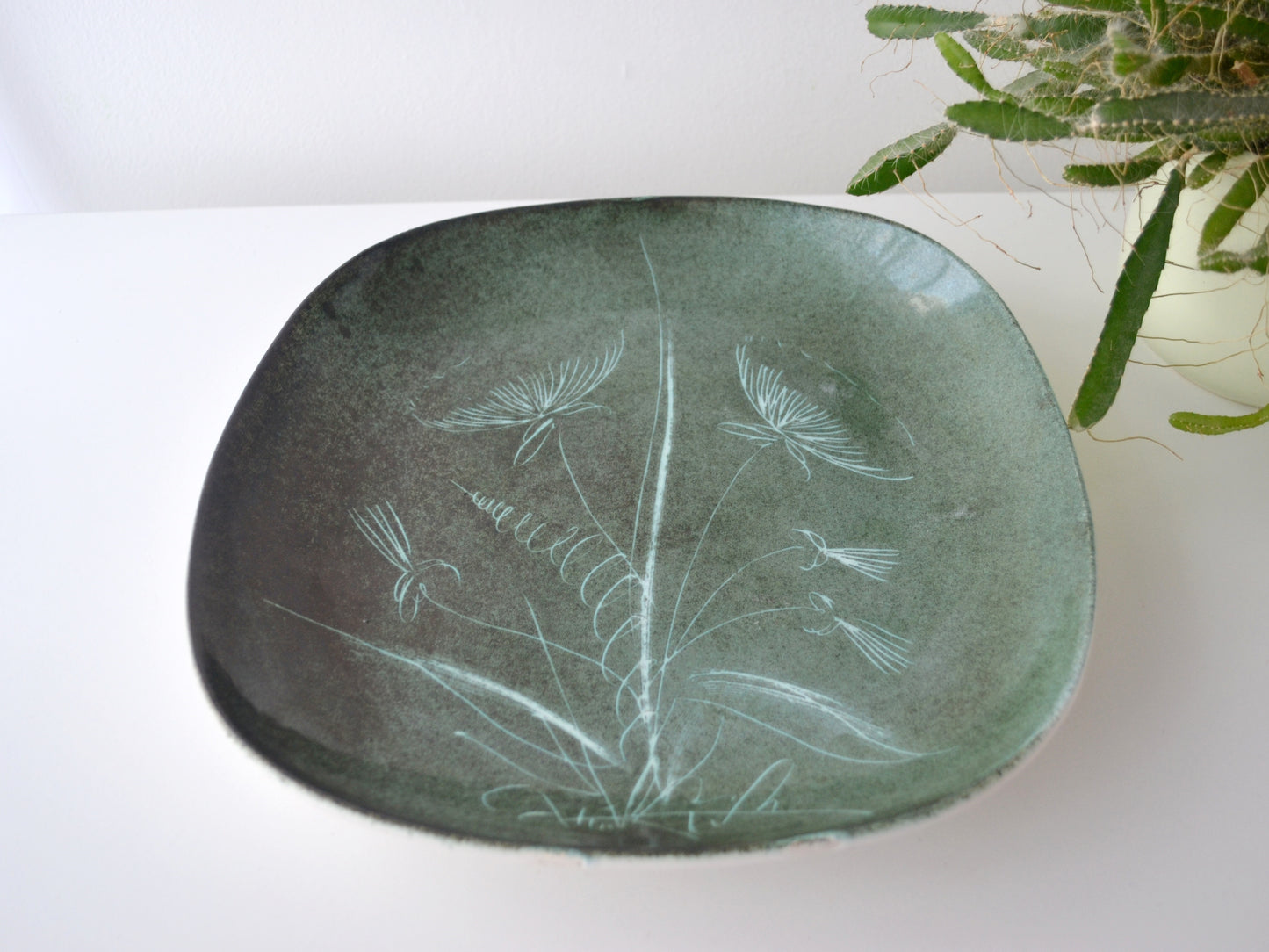 Green ceramic plate with leaf patterns on a white surface